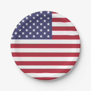 Patriotic paper plate with flag of USA.