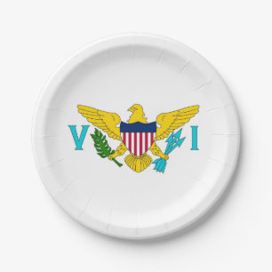 Patriotic paper plate with Virgin Islands flag