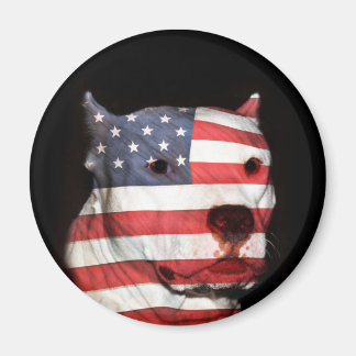 Patriotic pitbull face magnet