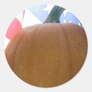 Patriotic Pumpkin Classic Round Sticker