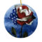 Patriotic Rose