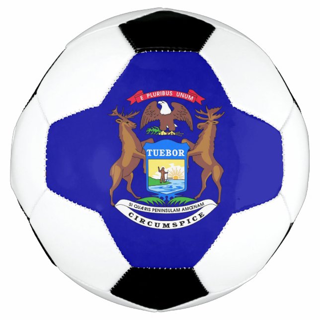 Patriotic Soccer Ball with Flag of Michigan (Front)