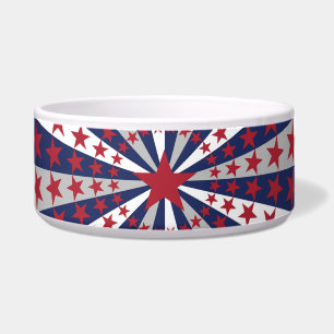 Patriotic Sunburst: American Flag Artwork