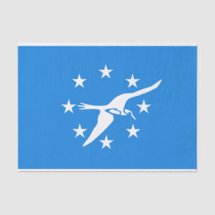 Patriotic tissue paper with flag of Corpus Christi