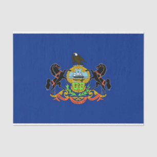 Patriotic tissue paper with flag Pennsylvania
