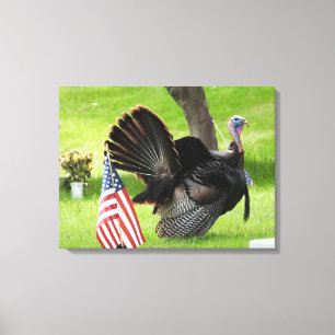 Patriotic Turkey Strut Canvas Print