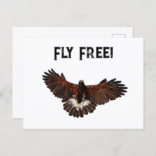 Patriotic USA Eagle Hawk Fly Free Nature Art Postcard