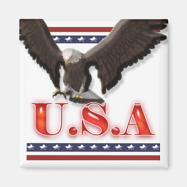Patriotic USA eagle stars stripes Magnet (Front)