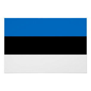 Patriotic wall poster with Flag of Estonia