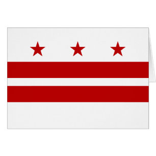 Patriotic Washington DC State Flag