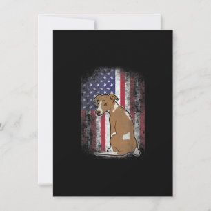 Patriotic Whippet American Flag Dog Lover Gift Thank You Card