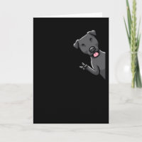 Patterdale terrier Dog