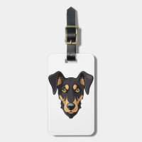 Patterdale Terrier Dog |