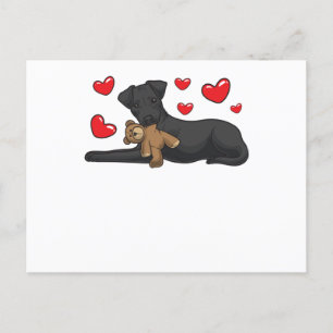 Patterdale Terrier Dog With Stuffed Animal Postcard