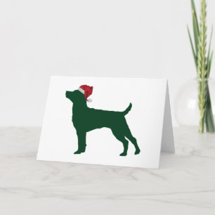 Patterdale Terrier Holiday Card