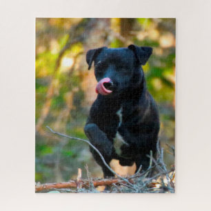 Patterdale Terrier. Jigsaw Puzzle
