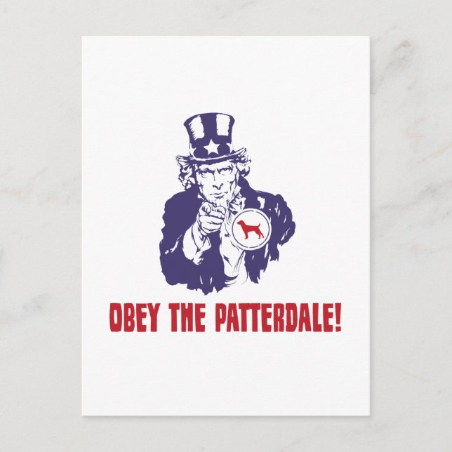 Patterdale Terrier Postcard (Front)