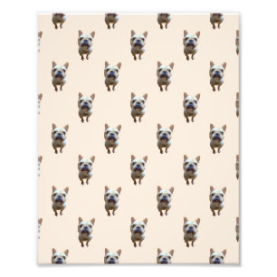 pattern_1_french bulldog_1 photo print