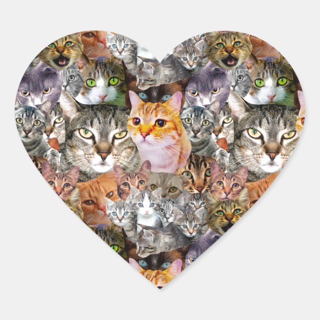 Pattern Cats Heart Sticker (Front)