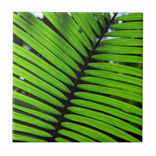 Pattern Of Fern Leaves Tile