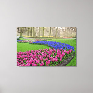 Pattern of Grape Hyacinth, tulips, and 2 Canvas Print