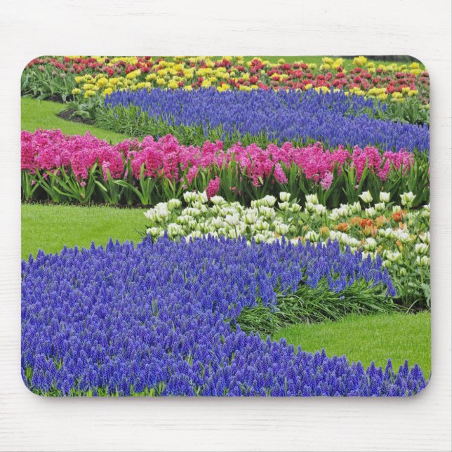 Pattern of Grape Hyacinth, tulips, and 3 Mouse Mat (Front)