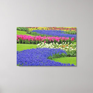 Pattern of Hyacinth and Tulip flowers in Keukenhof Canvas Print