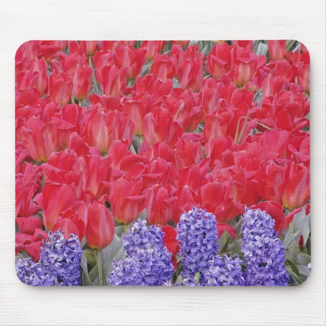 Pattern of hyacinth, tulips, and daffodils, mouse mat (Front)