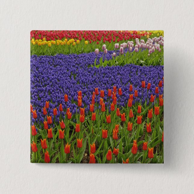 Pattern of tulips and grape hyacinth flowers, 2 15 cm square badge (Front)
