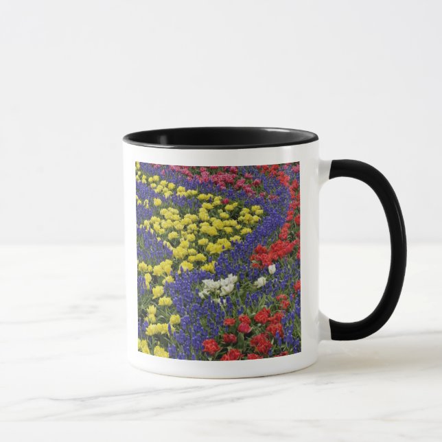 Pattern of tulips and Grape Hyacinth flowers, 2 Mug (Right)