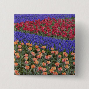 Pattern of tulips and Grape Hyacinth flowers, 3 15 Cm Square Badge