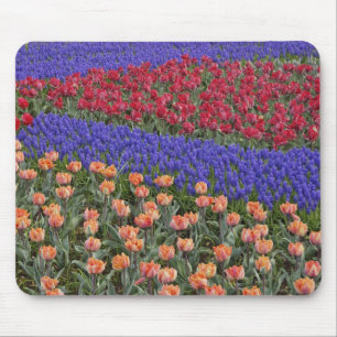Pattern of tulips and Grape Hyacinth flowers, 3 Mouse Mat