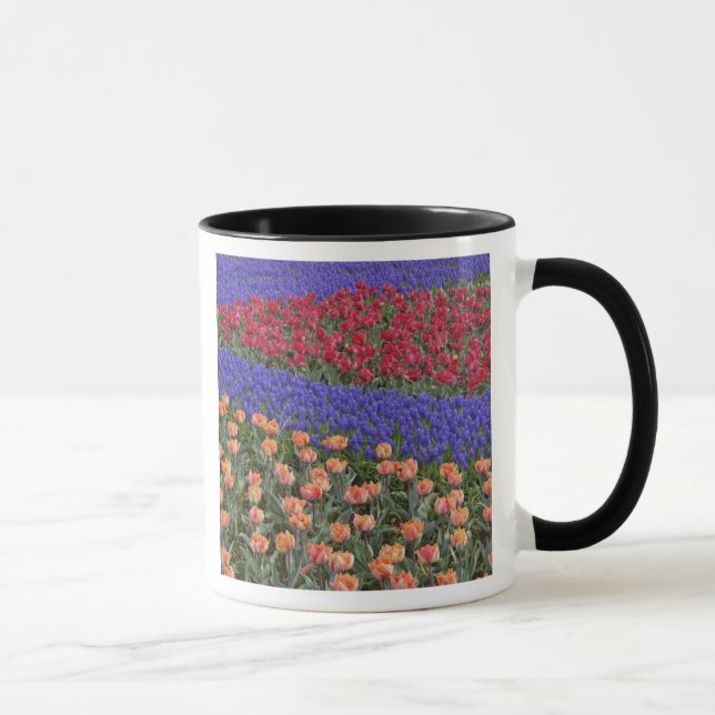 Pattern of tulips and Grape Hyacinth flowers, 3 Mug (Right)