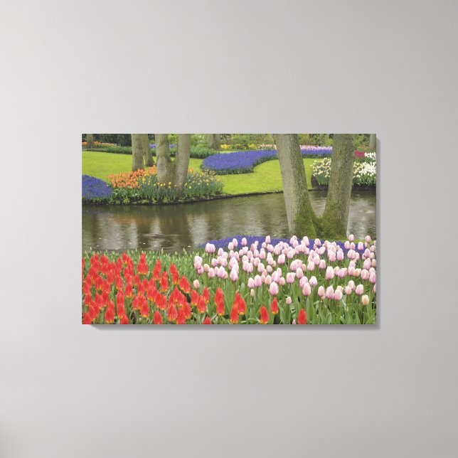 Pattern of tulips and grape hyacinth flowers, canvas print (Front)