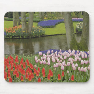 Pattern of tulips and grape hyacinth flowers, mouse mat