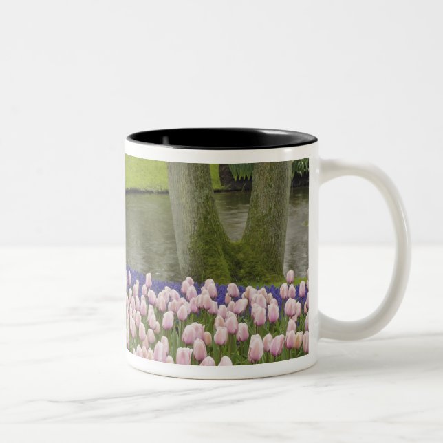 Pattern of tulips and grape hyacinth flowers, Two-Tone coffee mug (Right)