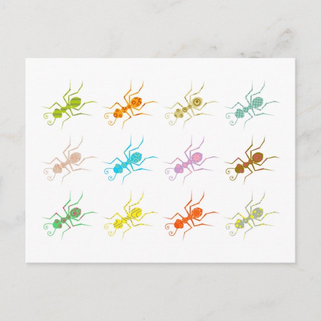 Patterned Ants Postcard (Front)