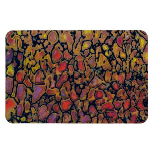 Patterned Dinosaur Bone Magnet