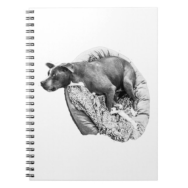 Patterned Pause – Quiet Thoughts Notebook (Front)