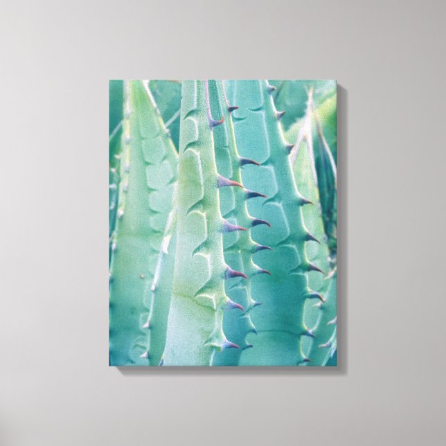 Patterns of an Agave plant Canvas Print (Front)
