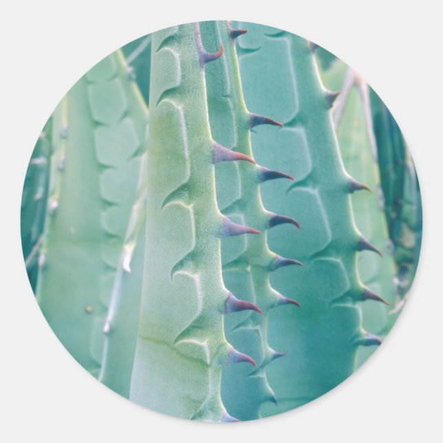 Patterns of an Agave plant Classic Round Sticker (Front)