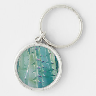 Patterns of an Agave plant Key Ring