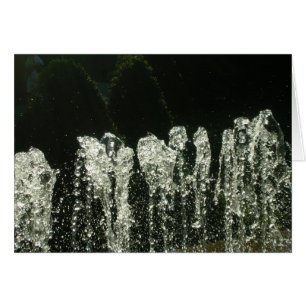 Patterns of Nature