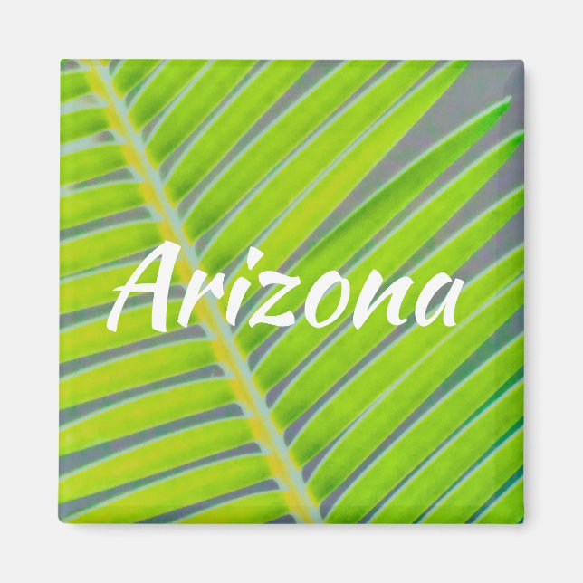 Patterns of Palms, Arizona Magnet (Front)
