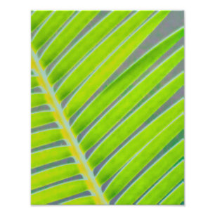Patterns of Palms Photo Print