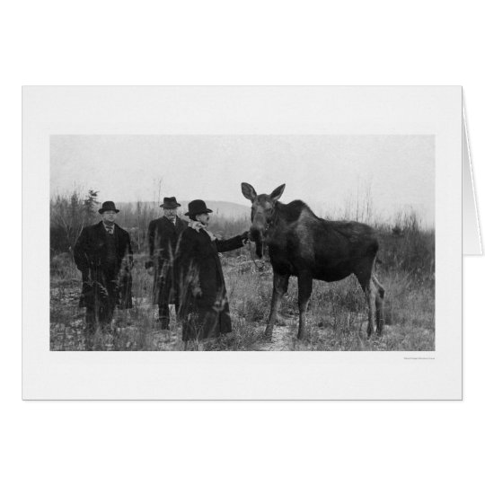 Patting a Moose Photo 1921 Card