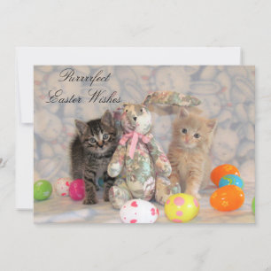 Patton & Buffington Easter Cat  Holiday Card