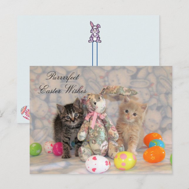 Patton & Buffington Easter Cat  Holiday Postcard (Front/Back)