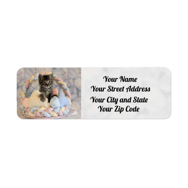 Patton's Easter  Address Labels - Cat / Kitten (Front)