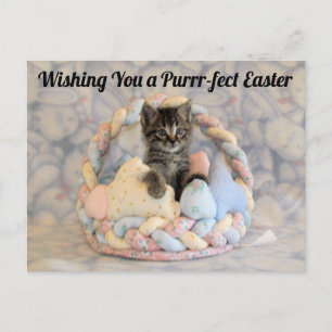 Patton's Easter Basket - Postcard